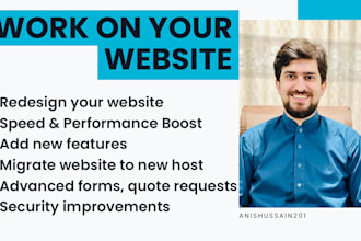 update, redesign and improve your existing wordpress website