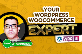 be your wordpress plugin developer