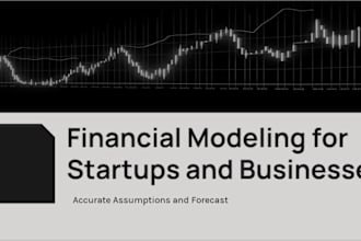 build a dynamic and investor ready financial model