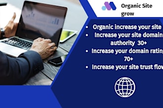 increase domain authority da, domain rating DR, and tf