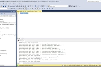provide  ms sql server administration support remotely