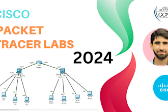 expert cisco packet tracer lab help and guidance