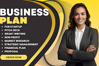 develop detailed business plan for startups, investor business plan, nonprofit