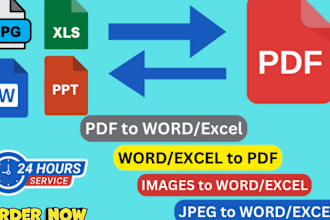 convert pdf to word, excel, google docs or data entry in 24 hrs