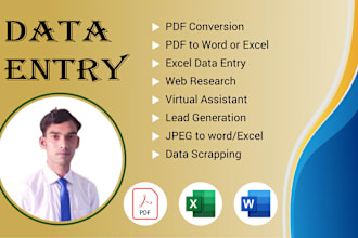 do PDF conversion, excel or word data entry, copy paste
