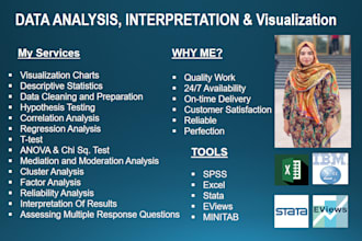 do data analysis and interpretation using spss and excel
