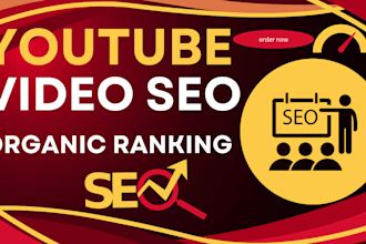 do ranking youtube video seo  organic and promote
