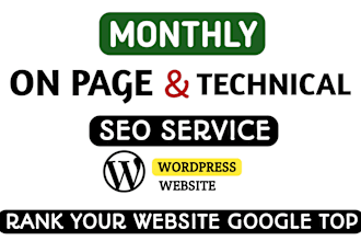 do onpage SEO, meta tags, meta description, alt text, robots txt, schema markup