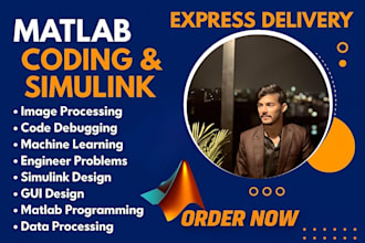do matlab programming,  machine learning, simulink and image processing