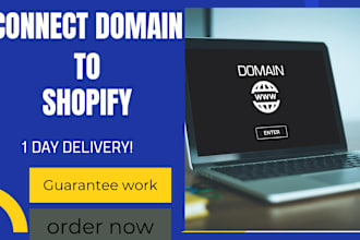 instantly connect domain to shopify store