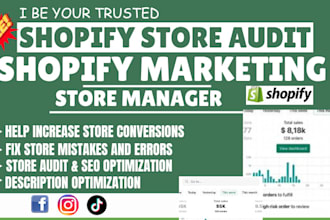 audit shopify dropshipping store, review store to grow sales