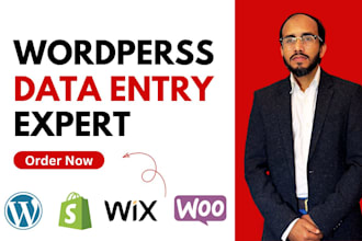 do wordpress data entry, product listing, copy paste job