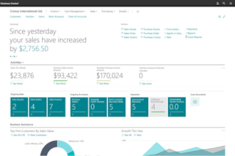 expert customization of microsoft business central and nav