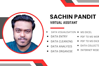 do data entry data analysis