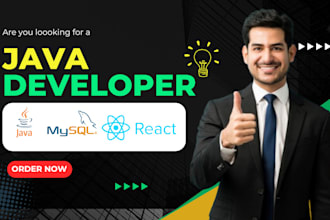 be your java spring boot developer for restful apis