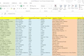 do real estate agent lead scraping, realtor data in excel