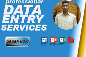 do excel data enty, dashboard, web research and copy paste