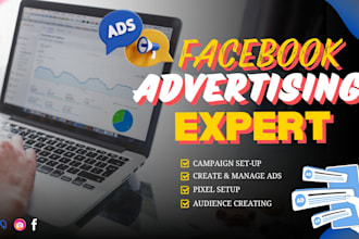 help business owners who need a facebook advertising expert