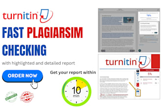 check ai and plagiarism within 10 minutes