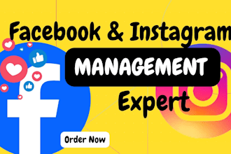 setup facebook ads and instagram ads, meta ads campaigns