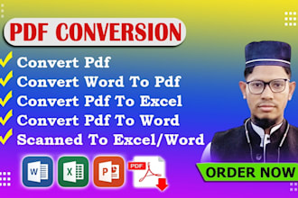 do professional PDF conversion, convert PDF to word, excel, jpg to word