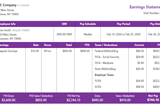 design adp paystubs, paychecks, salary slips for employers
