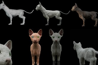 do 3d modellling of animals or creatures