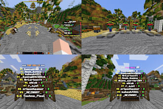 develop minecraft servers I setup plugins I optimization