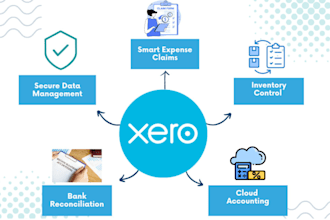 be your full time xero bookkeeper and xero accountant