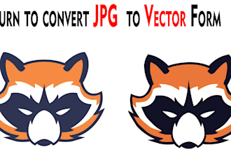 professional vector tracing or recreate logo