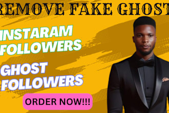 remove fake and ghost instagram followers and clean