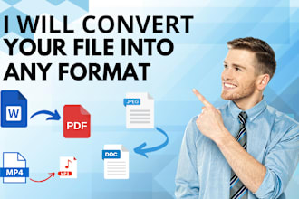 do professional file conversion  PDF to word mp4 to mp3 and more