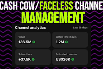 manage your faceless youtube, SEO, and channel  optimization
