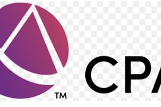 do CPA audits  and US tax filings provided by  US CPA