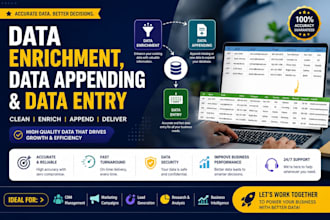 do data enrichment, data appending, data entry