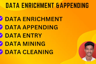 do data enrichment, data appending, data entry