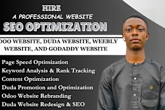 do SEO optimization for duda website, odoo website, weebly and godaddy website