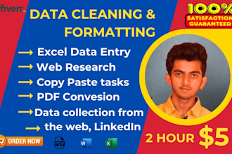 do urgent ms excel data cleaning and fastest data entry