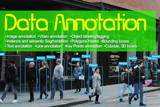 provide accurate image annotation and data labeling for ai datasets
