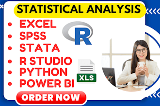 do statistical data analysis, r coding, spss, stata, excel, python programming