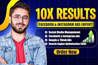 be your meta ads, instagram ads, linkedin ads and facebook ads campaign manager