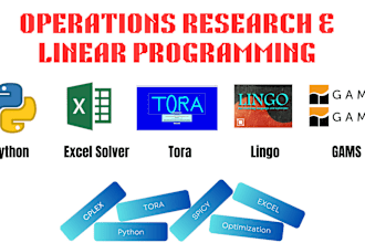 do project related to gams, excel solver, gurobi and lingo