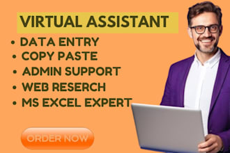 do data entry and copy paste job