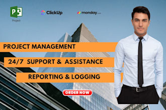 be your project management expert using ms project