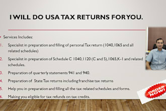 prepare your USA personal, llc and corporate tax returns