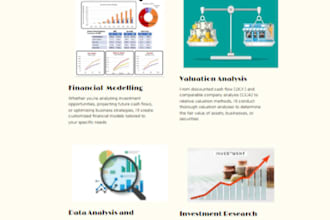build financial models, valuations and business projections