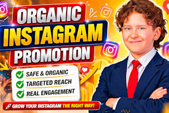 do organic instagram promotion