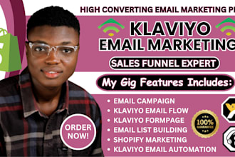 klaviyo email marketing shopify sales campaign design ecommerce flows expert