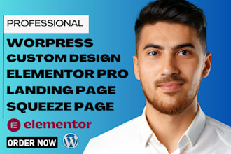 redesign custom elementor pro squeeze page website wordpress website development