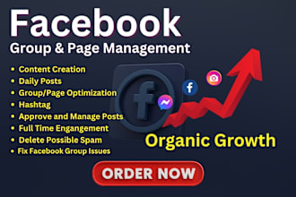be your facebook group and page specialist